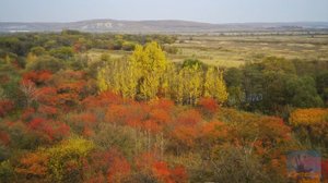 Яркость осенних красок.