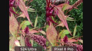 Samsung S24 Ultra Vs Pixel 8 Pro Camera Test