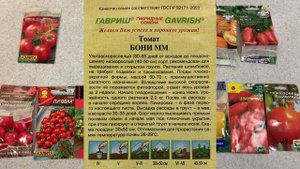 Какие посадить помидоры? Штамбы и гномы в чем разница?