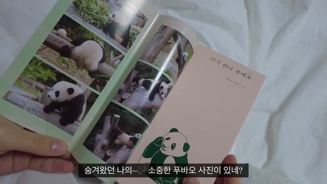 sub) 직장인 일상 브이로그, 해그리드 탈출, 푸바오 책 구매, 베이킹소다 활용법, 신천 스케이트, 대구 맛집, 출근룩, 사무직 vlog