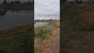 сайгаки в ал.гае