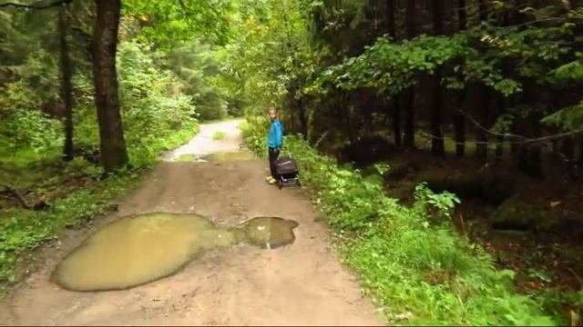 Дорожки-дороженьки...
