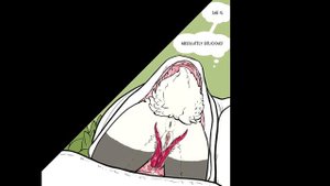 💜COMIC SNAKE VORE - furry bunny loves snake