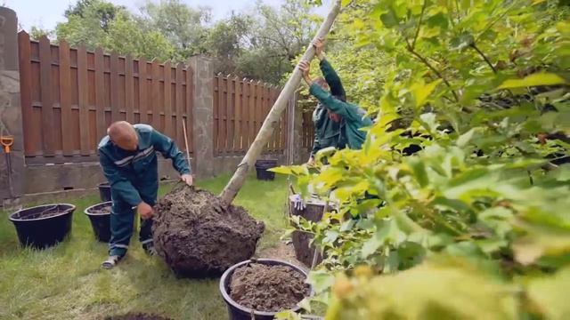 Посадка растений смотреть онлайн