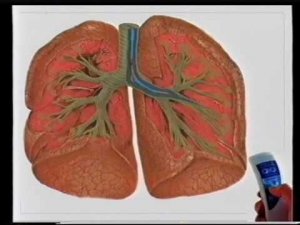 DENS therapy manual part 1