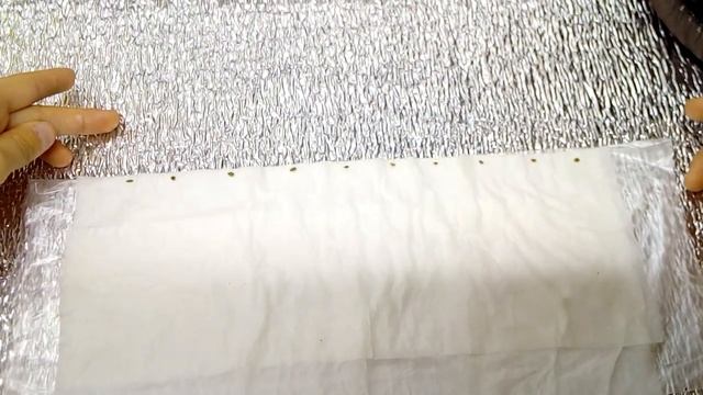 Посев семян петрушки без земли смотреть онлайн