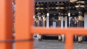 Режим слежения F стабилизатора Zhiyun Crane 2S