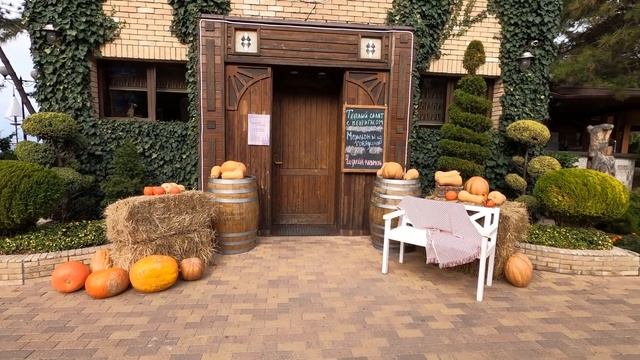 06 11 2021 Прогулка по набережной смотреть онлайн