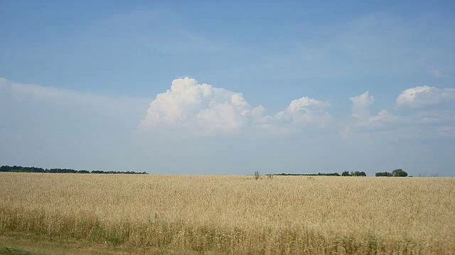 Здравствуй, малая Родина! смотреть онлайн