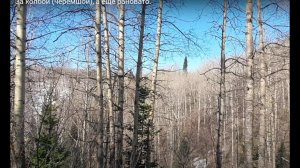 За колбой (черемшой), а ещё рановато.