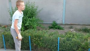 Подстрижка спиреи на позитиве