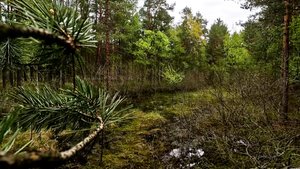 Дикие выходные с Павлом Глазковым. 25 мая