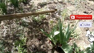 ТОП 10 Идей для сада , дома и огорода своими руками! TOP  Ideas for garden, home with your own hand