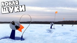 ЭТО ЗИМОВАЛЬНАЯ ЩУЧЬЯ ЗАВОДЬ! ЖЕРЛИЦЫ СРАБАТЫВАЮТ КАК ИЗ ПУЛЕМЕТА!