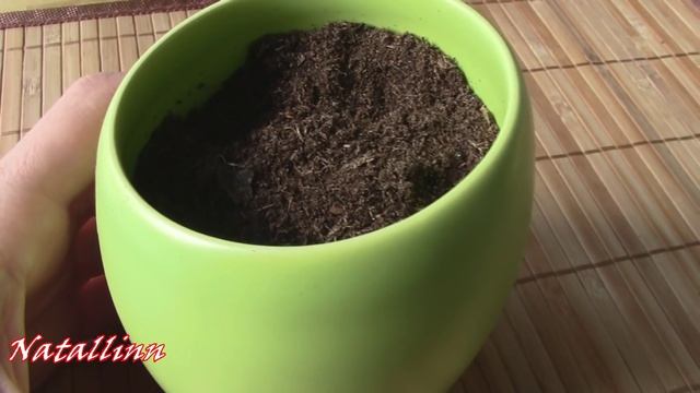 Пасхальный декор Много идей. Украшаем дом на Пасху смотреть онлайн