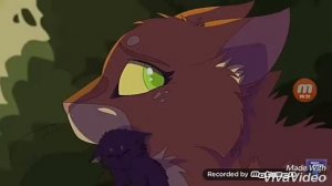 Коты Воители | Белка и Листвичка | Hurry Up And Save Me