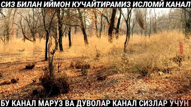 ОҚ ОТДАГИ ШАХЗОДА ШАРМАНДАКУ БУЛАР 😱❌ ШУКУРУЛЛОХ ДОМЛА