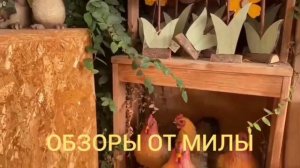 Деревенский дневник очень многодетной мамы Ольги Быковой. Обзор влога.