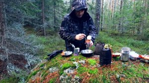 Поход в лес,ПВД в ноябре,осенний сырой лес,печка щепочница.