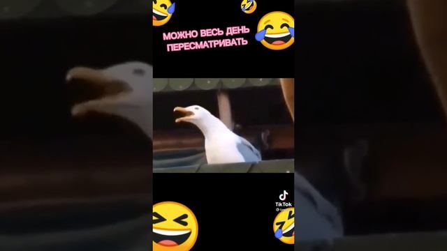 смейся ?? смотреть онлайн