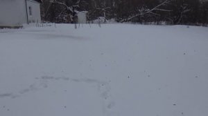 БАНЯ! ПРОВОДИМ СВЕТ!