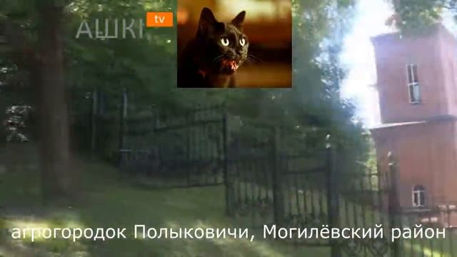 РЕПОРТАЖ ИЗ БЕЛОРУССКОГО СЕЛА #1 ПОЛЫКОВИЧИ