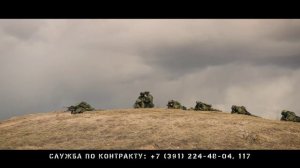 Служба по контракту 2024