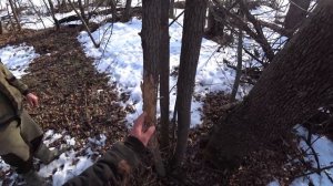 СОЛОНЦЫ ДЛЯ ЗАЙЦА : ДЕЛАЕМ ПОДКОРМКУ ДЛЯ ЗАЙЦА ЗИМОЙ СВОИМИ РУКАМИ