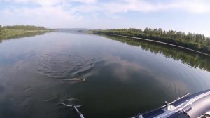 Осиновое Плесо - Баржа. Новая лодка Солар-420 Стрела Jet Tunnel!!!