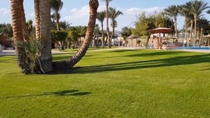 Обзор территории отеля Tirana Dahab Resort 4*