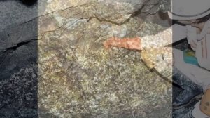 ТАК ВЫГЛЯДЯТ САМОРОДКИ ПЛАТИНЫ