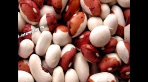 Чем полезна фасоль