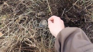 МЕТАЛЛОКОП 2023 С МЕТАЛЛОИСКАТЕЛЕМ GARRETT ACE APEX. Коп на старых свалках.