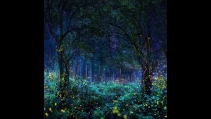 Эдуард Асадов #Эдуард #Асадов