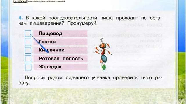 Задание 4 Наше питание - Окружающий мир 3 класс (Плешаков А.А.) 1 часть смотреть онлайн