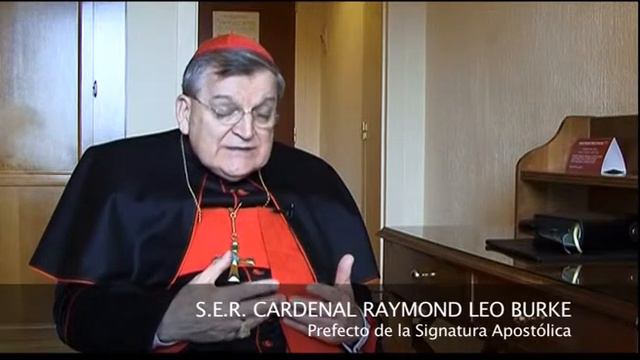 NOTICIA Visita Apostolica S.E.R. Cardenal Burke a España смотреть онлайн