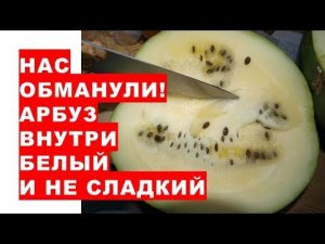 Нас обманули! Арбуз внутри белый и не сладкий