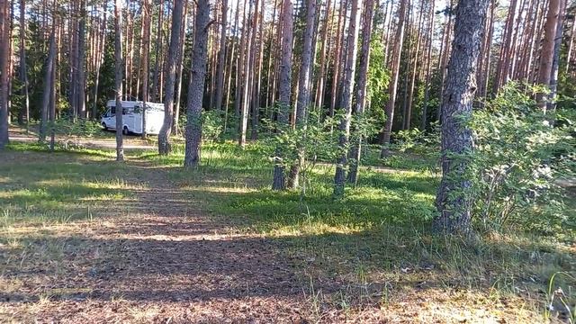 Ночёвка на Чудском озере