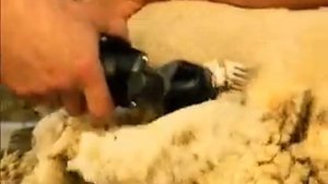 Машинка Heiniger XTRA