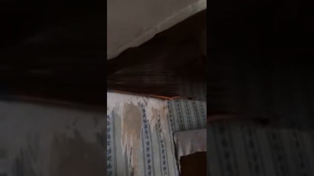 Багет смотреть онлайн