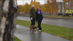 Прямой эфир