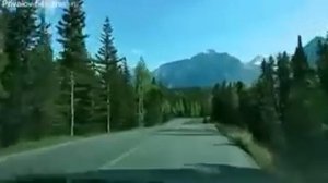 Тимур Рахманов   Судьба