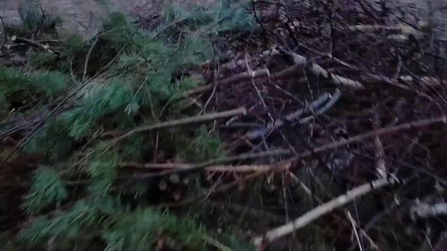 Показываю готовый участок 20 соток. смотреть онлайн