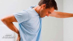 БЕРЕЗОВЫЕ СЕРЕЖКИ от БОЛИ в СЕРДЦЕ и ОТДЫШКИ , при болях в СУСТАВАХ и ревматизме