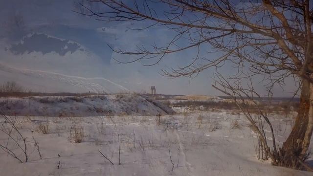 Ватрушка 2018
