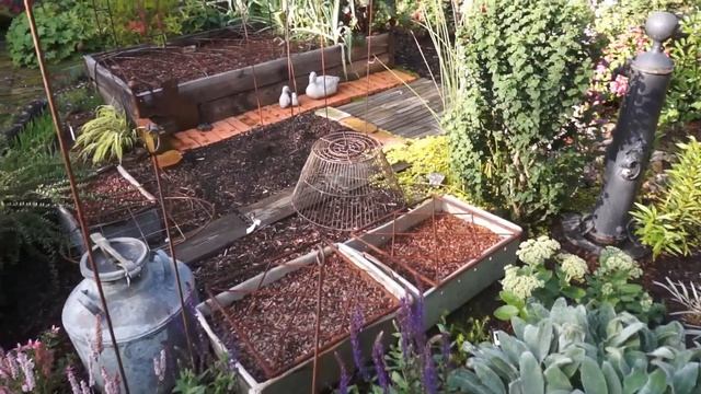 Обзор моего сада. Итоги лета 23 смотреть онлайн