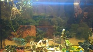 Зимние блесна своими руками. Супер блесна на окуня.Просто,но эффективно.