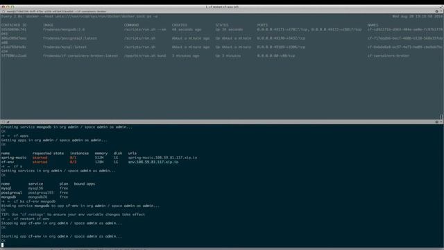 Docker Service Broker for Cloud Foundry - Part 2 смотреть онлайн