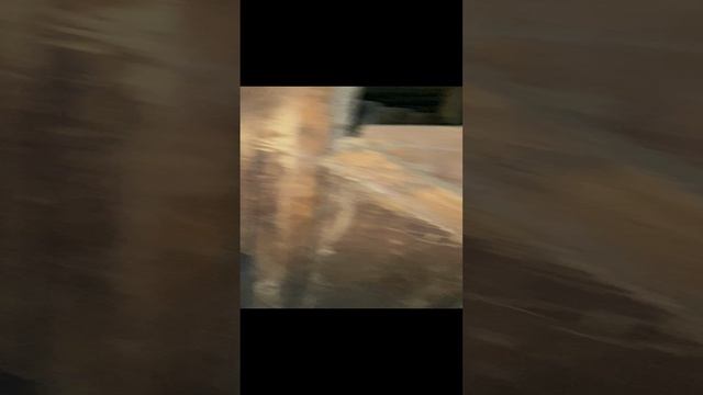 Дедушкина ТЁЛКА смотреть онлайн