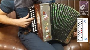 ПЕСНИ ПОД ГАРМОНЬ | РАЗБОР СЕКТОР ГАЗА - УКУС ВАМПИРА | на гармони